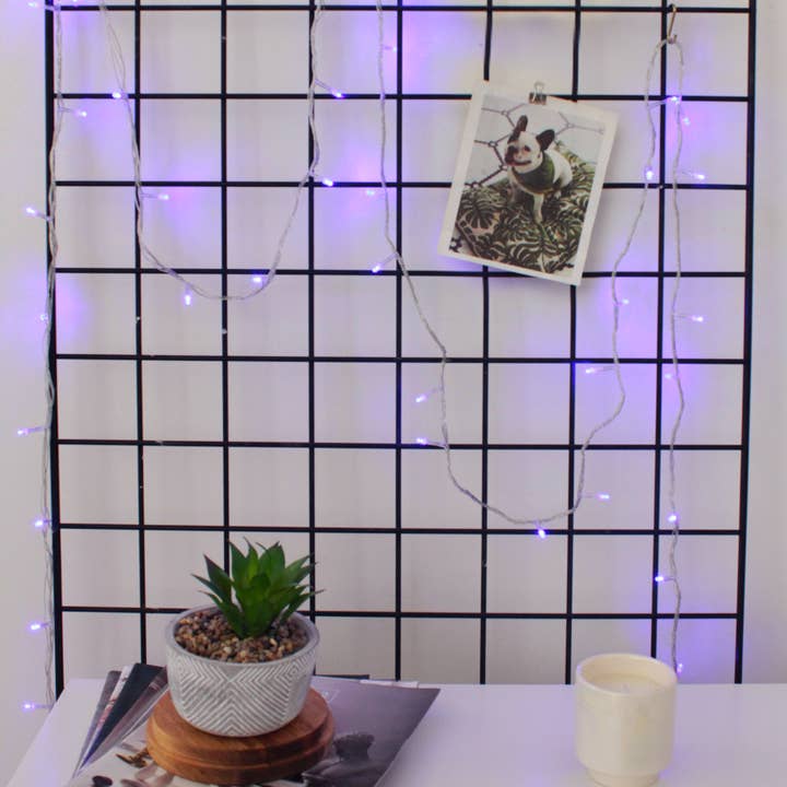 30 LED String Light Battery Operated - Purple for wholesale on Faire