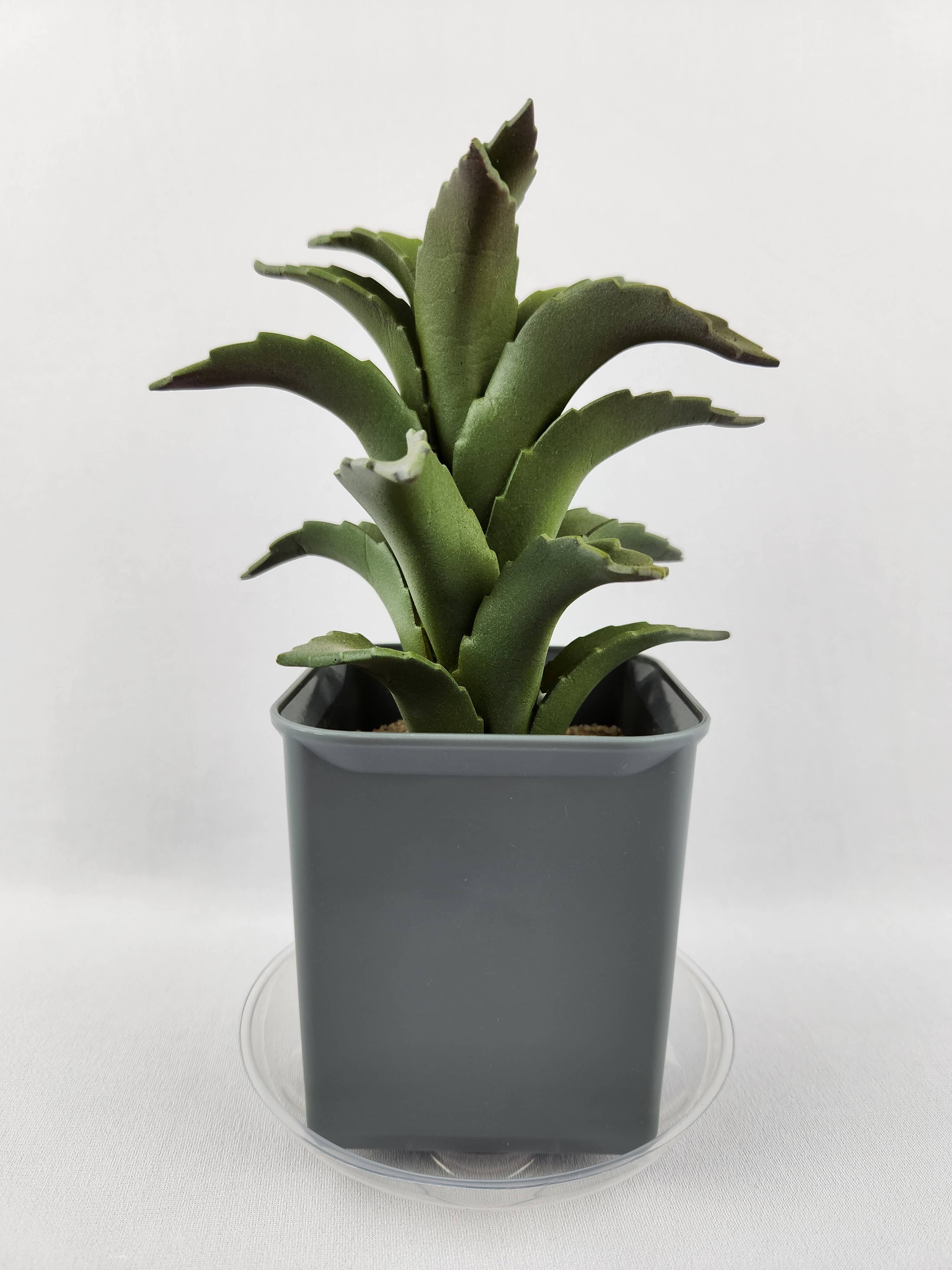 Plastec Products - Wholesale Saucer - Mini Saucer 4"3