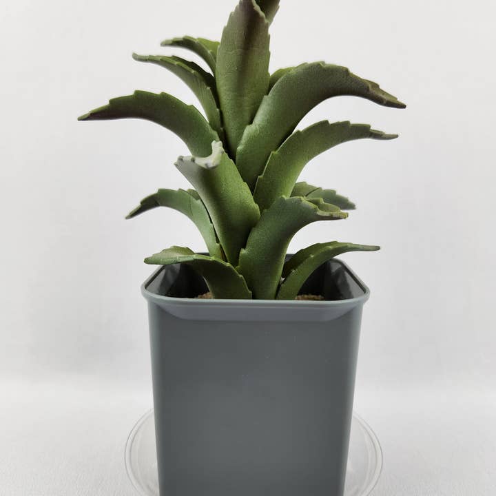 Plastec Products - Wholesale Saucer - Mini Saucer 4"3