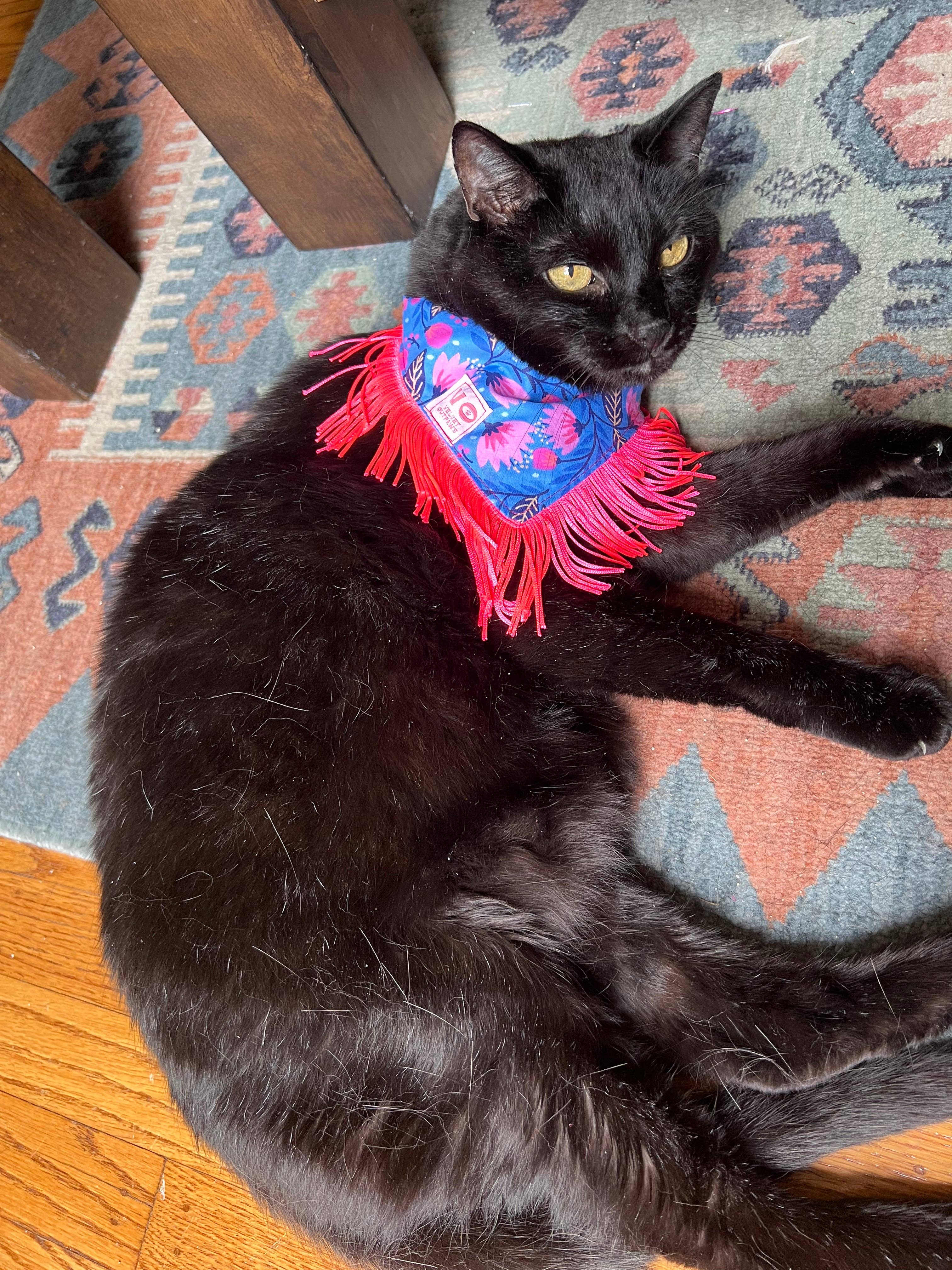 Velvet Outlaw - Wholesale Pet Bandana - Dog - Blooming Flower Fringe Pet Bandana1