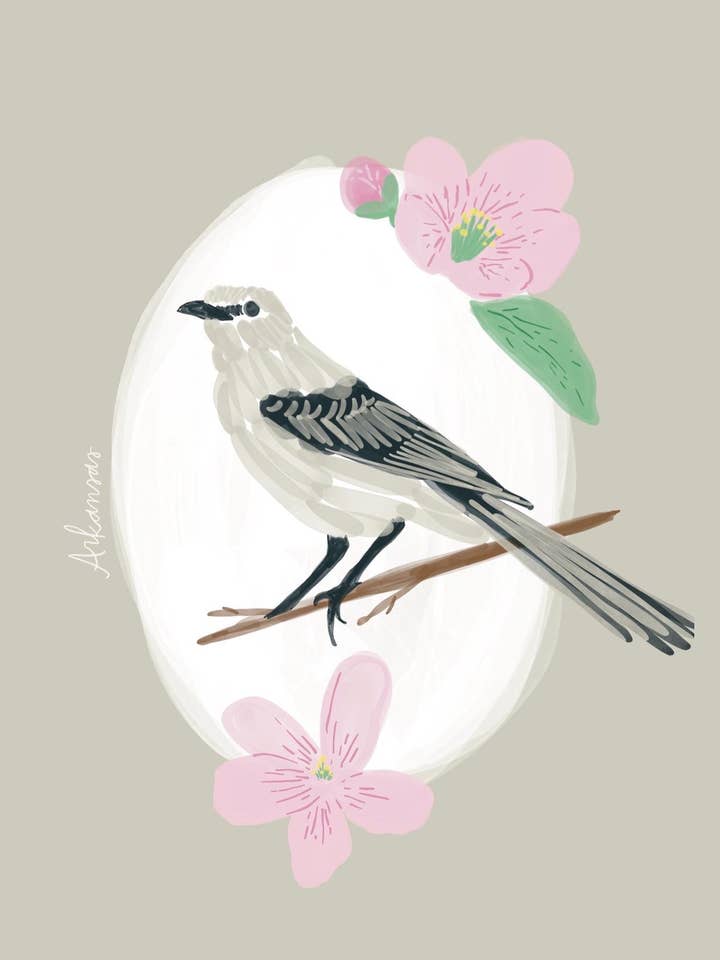 Arkansas State Bird & Flower Print for wholesale by Daley Kaye Studio