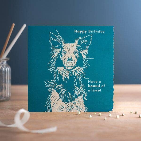 Farveblok: Tillykke med fødselsdagen har en hund af en tid! | Lykønskningskort, kort, hund for engroshandel hos Deckled Edge Ltd