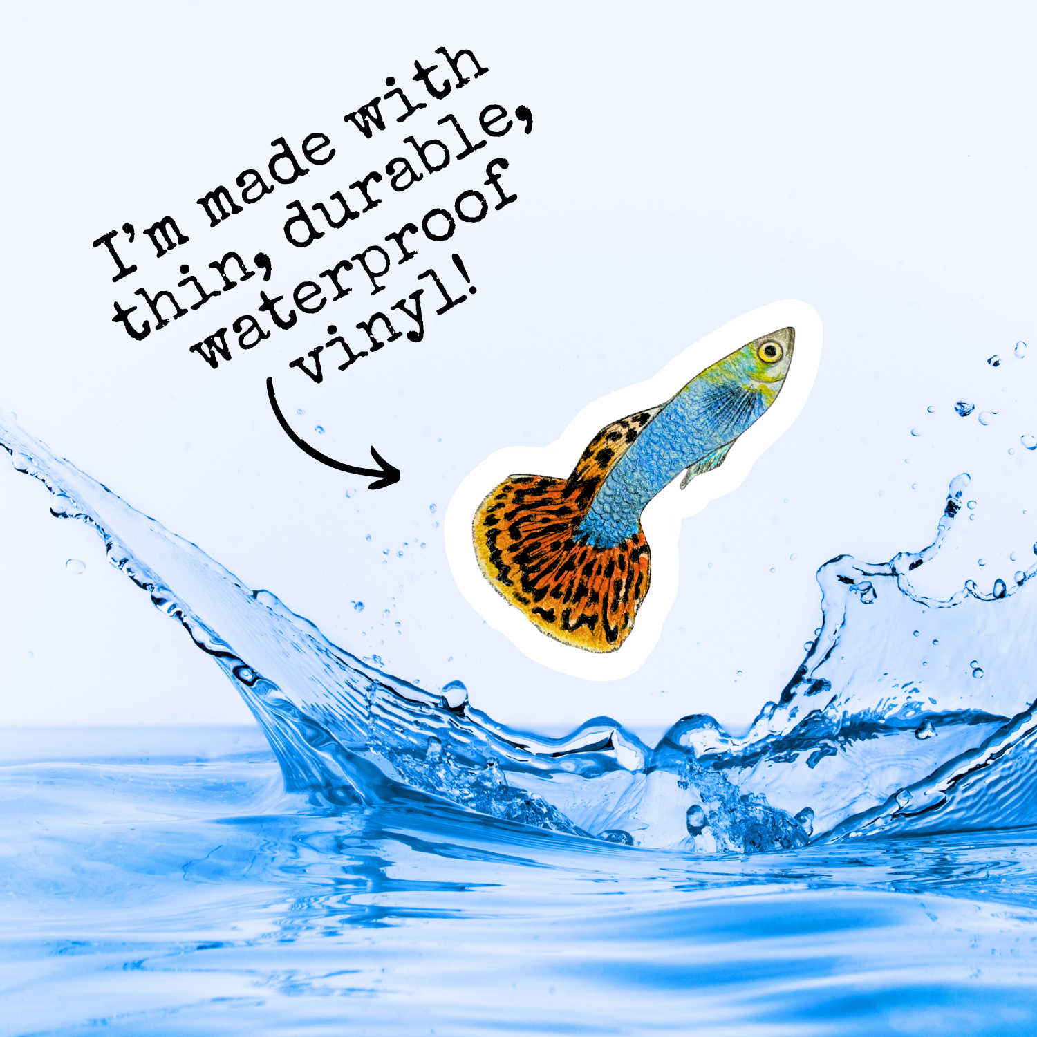 Fins and Frags - Wholesale Sticker - Handmade Guppy Sticker, for Fish & Aquarium Lovers 4