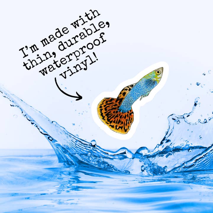 Fins and Frags - Wholesale Sticker - Handmade Guppy Sticker, for Fish & Aquarium Lovers 4