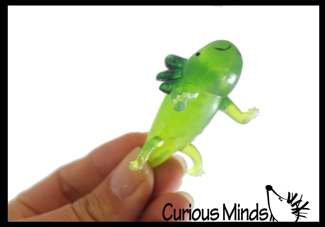 Curious Minds Toys – wholesale Fidget Toy - Barn – 1 påse med 12 realistiska 2,5" färgglada små axolotler-figurer6