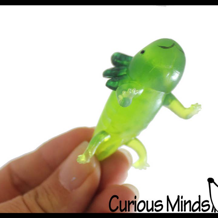 Curious Minds Toys – wholesale Fidget Toy - Barn – 1 påse med 12 realistiska 2,5" färgglada små axolotler-figurer6