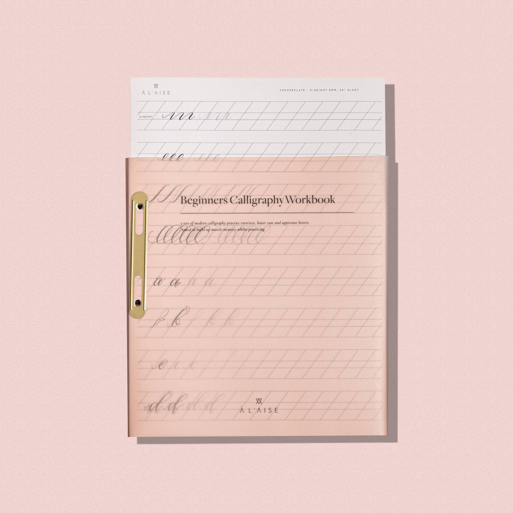 À L'AISE LTD - Wholesale Coloring & Activity Book - Adult - Modern Calligraphy Beginners Workbook3