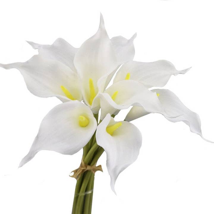 Angel Isabella - Venta al por mayor Flores artificiales - Lirio de cala falso de floración larga de 16" ultra suave y realista