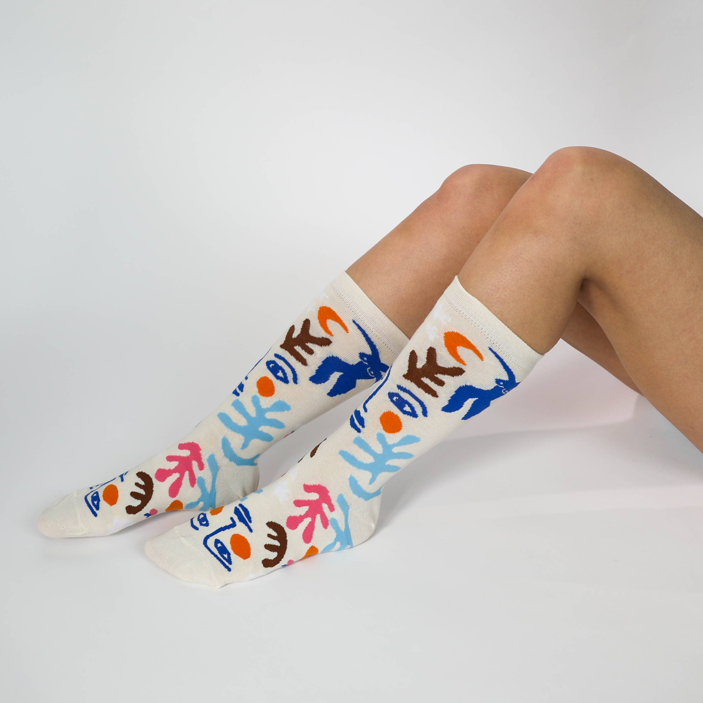 Yellow Owl Workshop - Wholesale Socks - Women's - Small Socks - Matisse Art Socks1