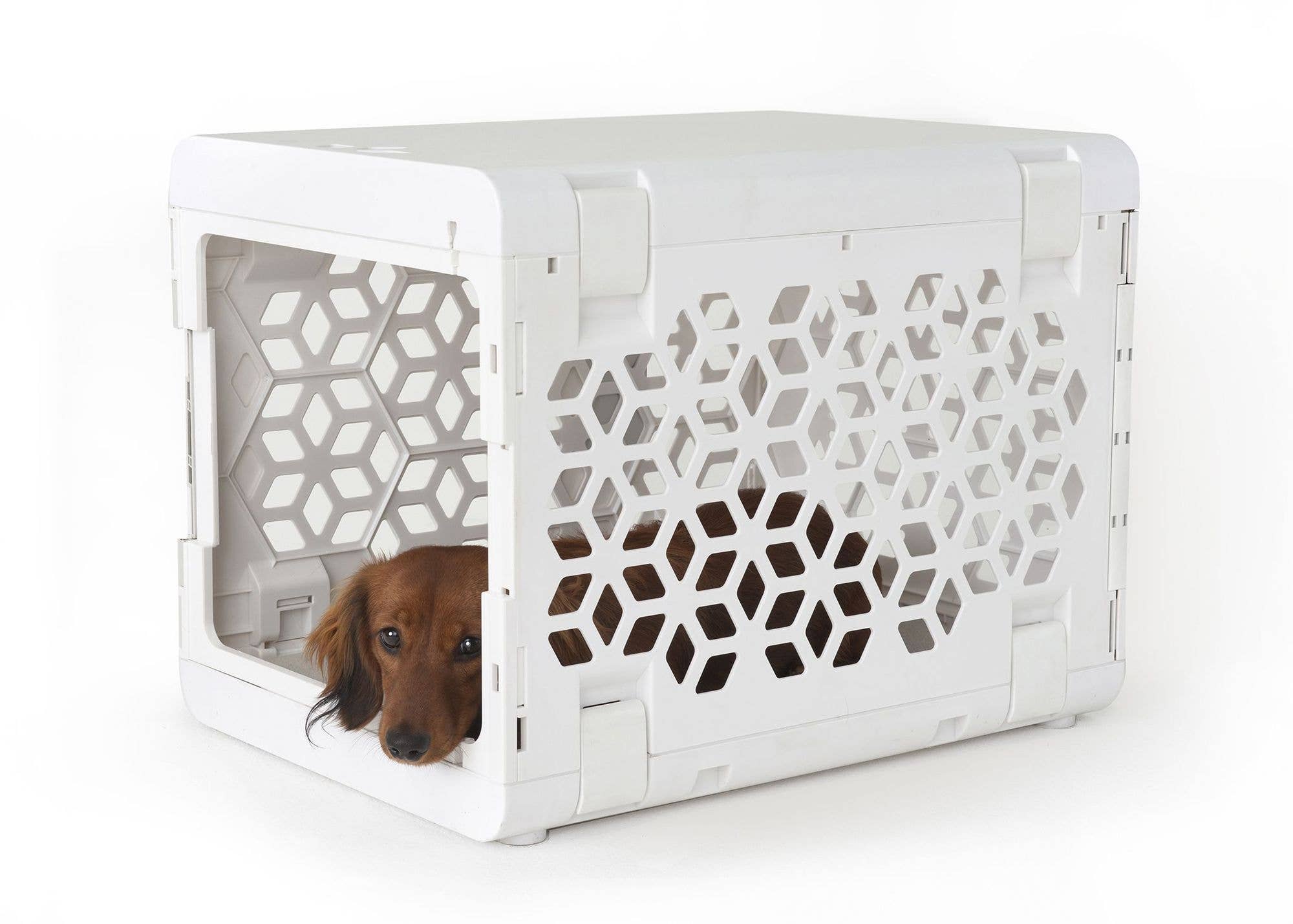 KindTail - Wholesale Pet Carrier - Dog - Small Pawd® | Modern Collapsible Plastic Dog & Pet Crate (To4