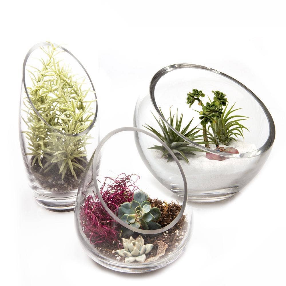 Chive Canada - Wholesale Terrarium - Clear Glass Terrarium Bowl For Succulents And Cactus2