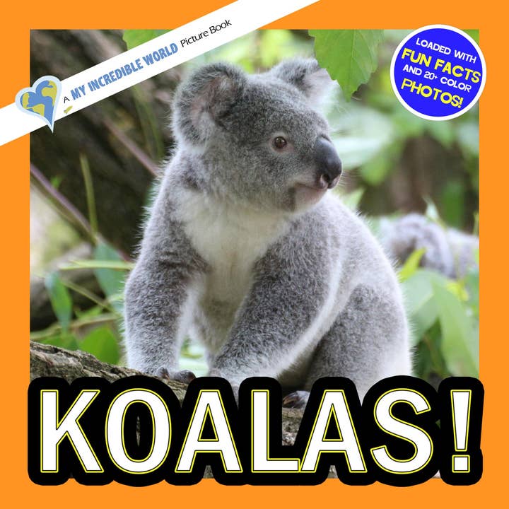 Koalor! En fantastisk världsbilderbok för barn för wholesale av My Incredible World