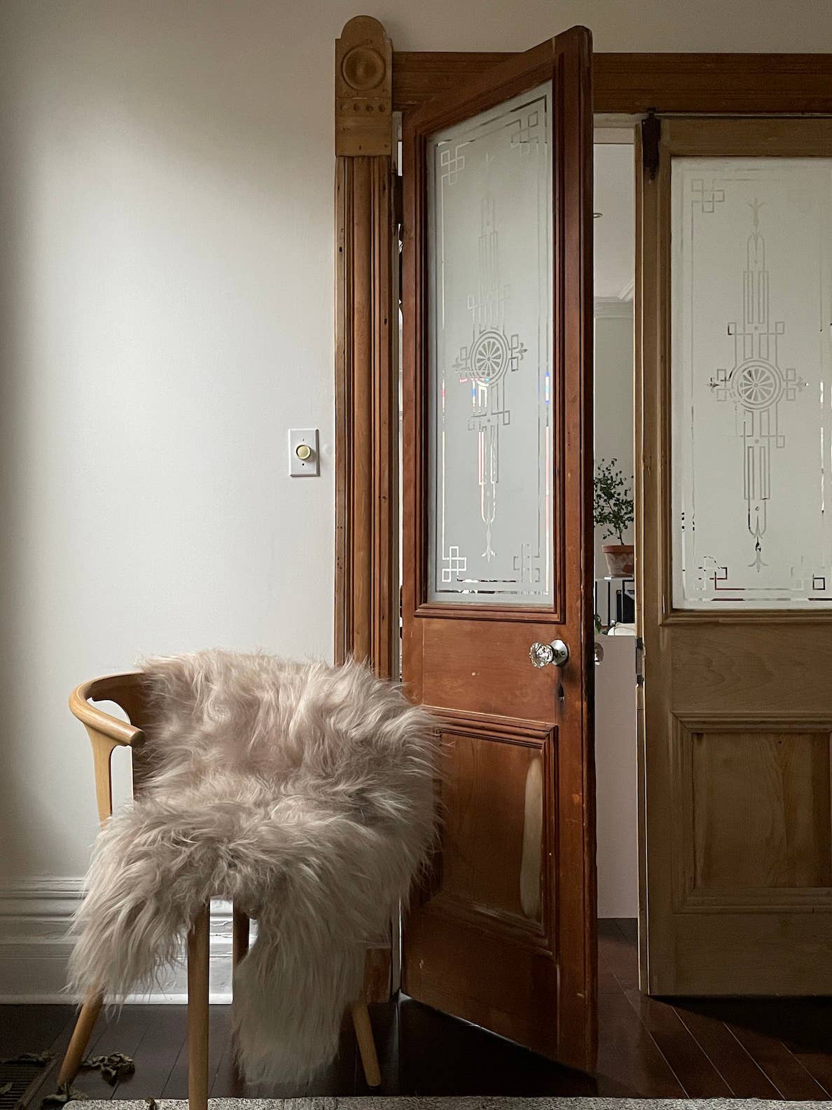 Black Sheep (White Light) - Vendita all'ingrosso Tappeto - Tappeto in pelle di pecora islandese nuda5