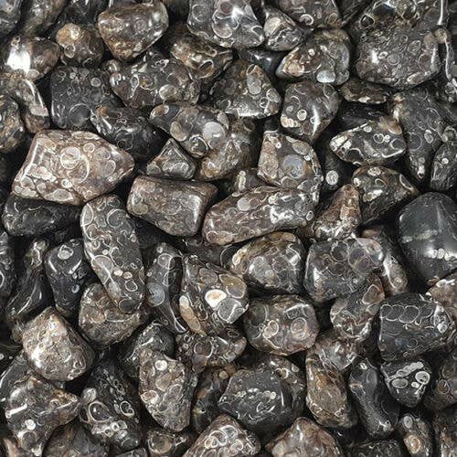 Shamans Crystal - Wholesale Spiritual Stone/Crystal - Wholesale Tumble Stones
Crystals A-Z, 80 types of Crystals42