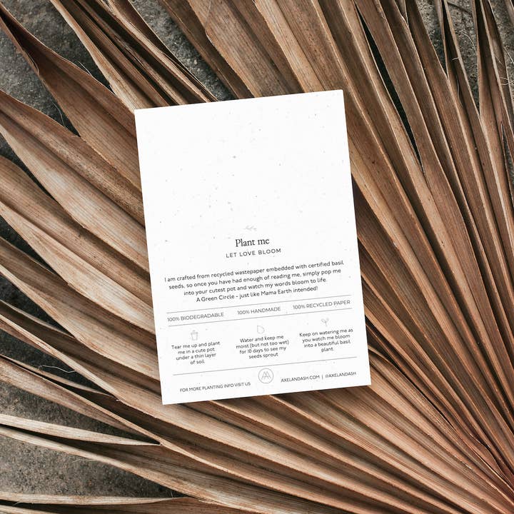Axel & Ash - Wholesale Everyday Greeting Card - PLANTABLE Greeting Card || SENILE - 6Pack