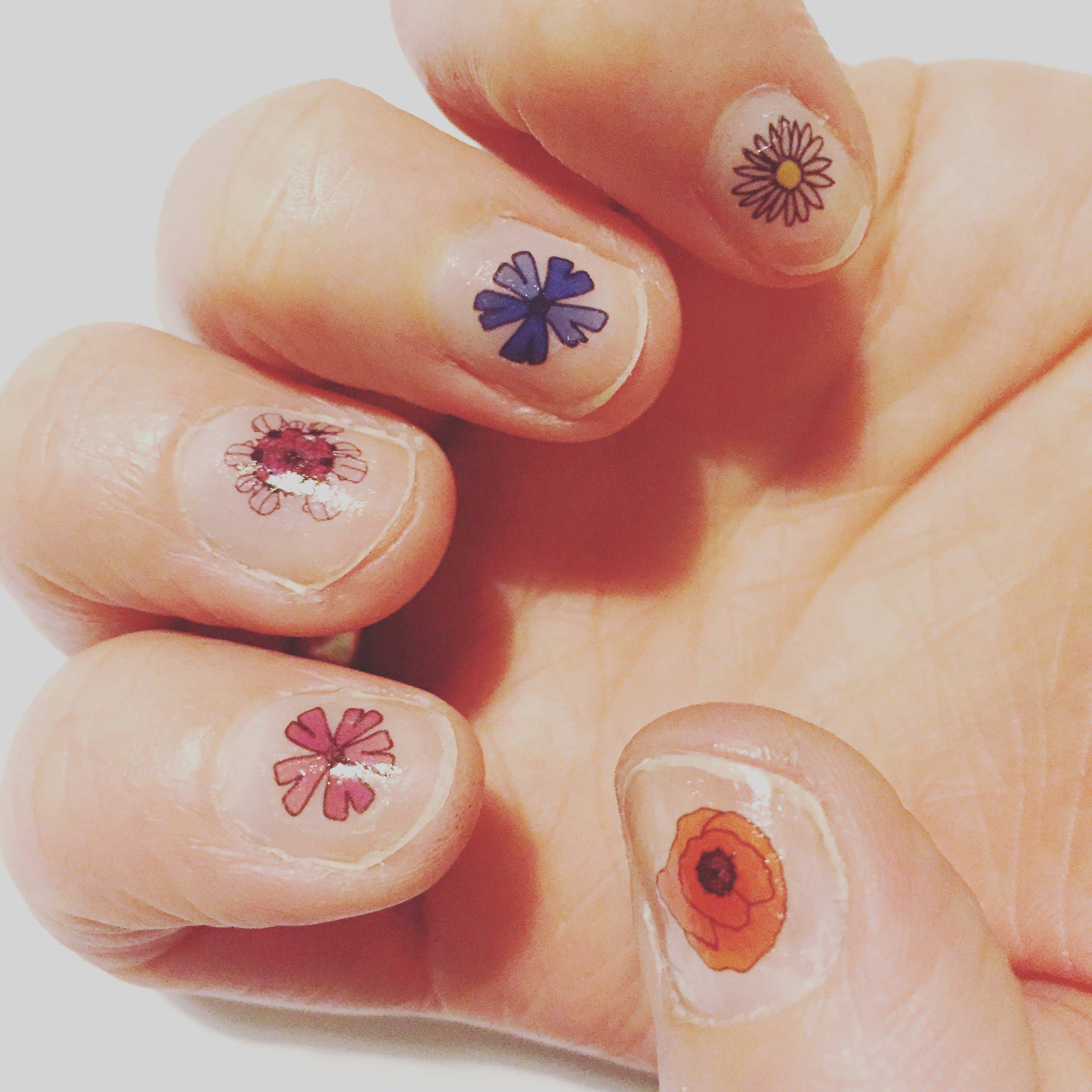 Kate Broughton - Wholesale Nail Art/Decal - Wildflower Nail Art Transfers2