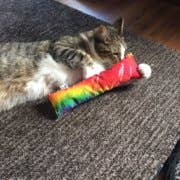 Dr. Pussums Catnip - Wholesale Pet Toy - Cat - Wicked Kick-Ah Nip Catnip Kicker Cat Toy2