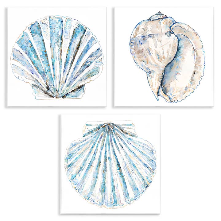 Clam & Conch Watercolors - Unframed Wall Art Set and other Purchase Wholesale large conch shells. Free Returns & Net 60 Terms on Faire trending on Faire.