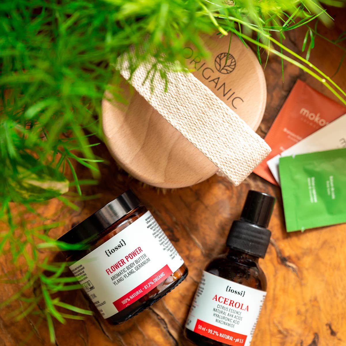 Origanic – wholesale Kroppsborste – Egen logotyp personlig torr kroppsmassageborste14