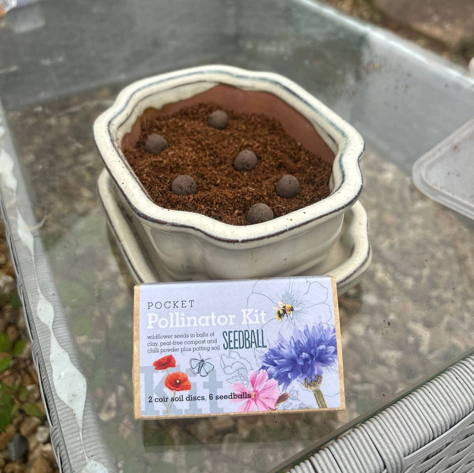 Seedball – wholesale Plant seeds – Pocket Pollinator Kit4