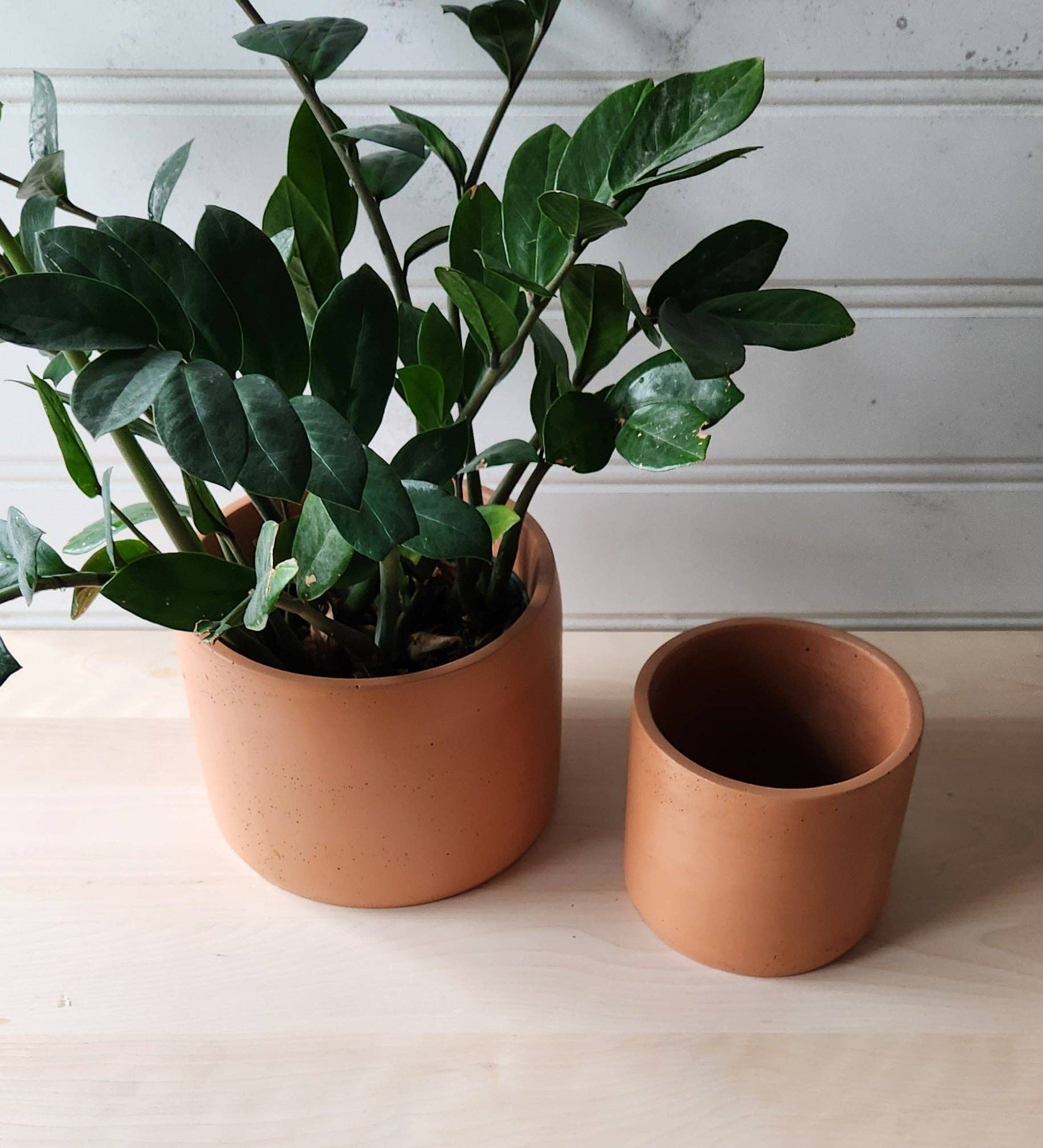 Plant 'er Here - Wholesale Plant Pot - Cylinder Planter- 5" and 7" Terracotta2