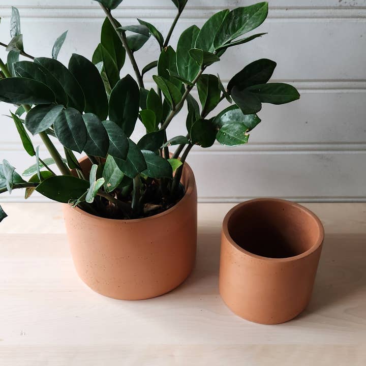 Plant 'er Here - Wholesale Plant Pot - Cylinder Planter- 5" and 7" Terracotta2