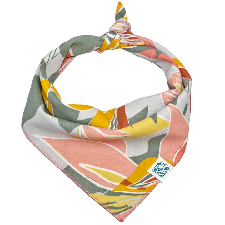 Bandana pour chien Reno pour la vente par LUCK OF TUCK