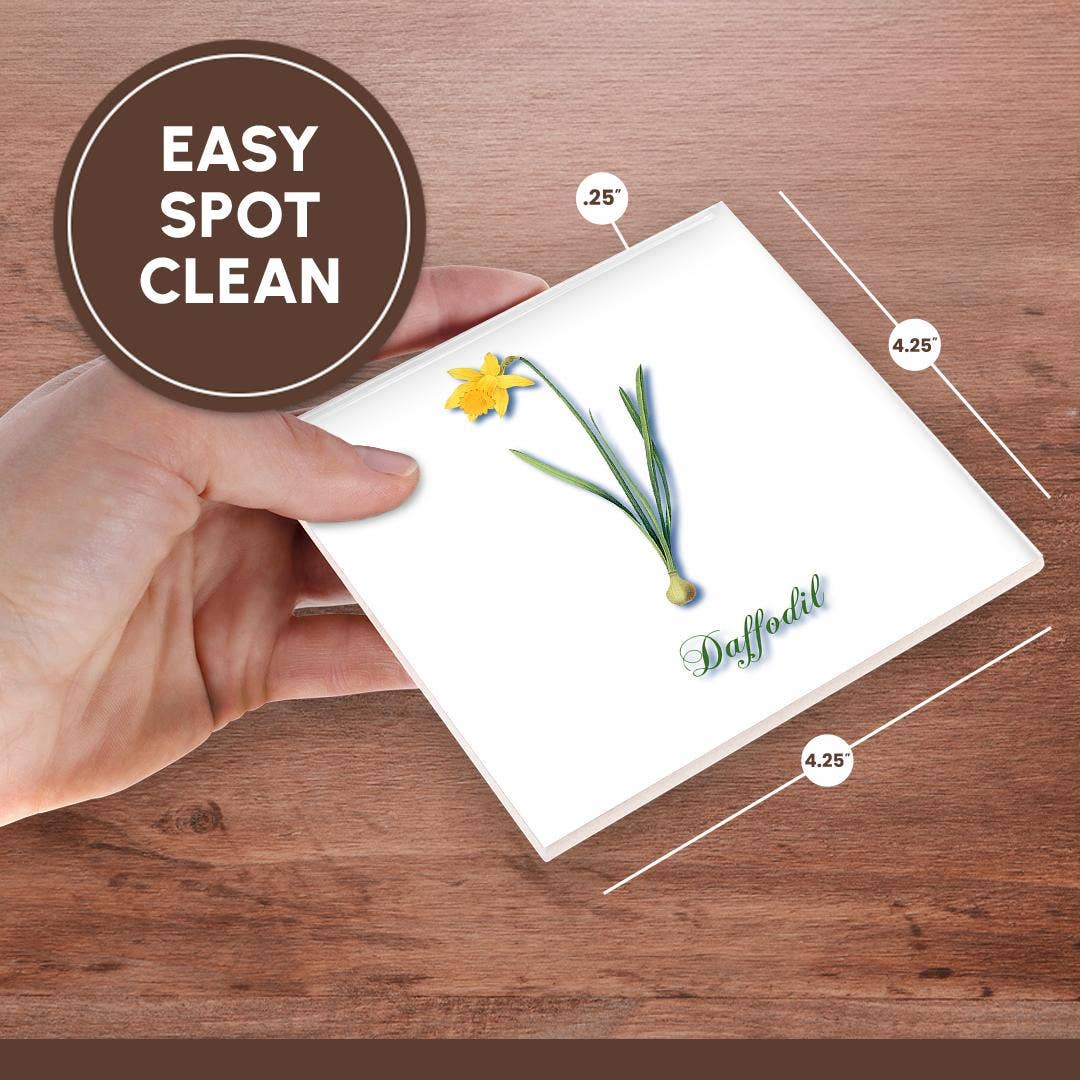 3dRose - Wholesale Coasters - 3dRose, Daffodil, Botanical Print Bright Yellow Daffodil Early Spring Flower, Coaster6