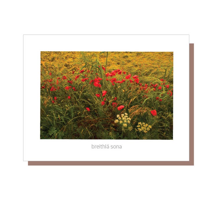 Breithlá sona duit (Feliz cumpleaños) - tarjeta de cumpleaños irlandesa para venta al por mayor de Irish Greeting Cards by Catherine Dunne