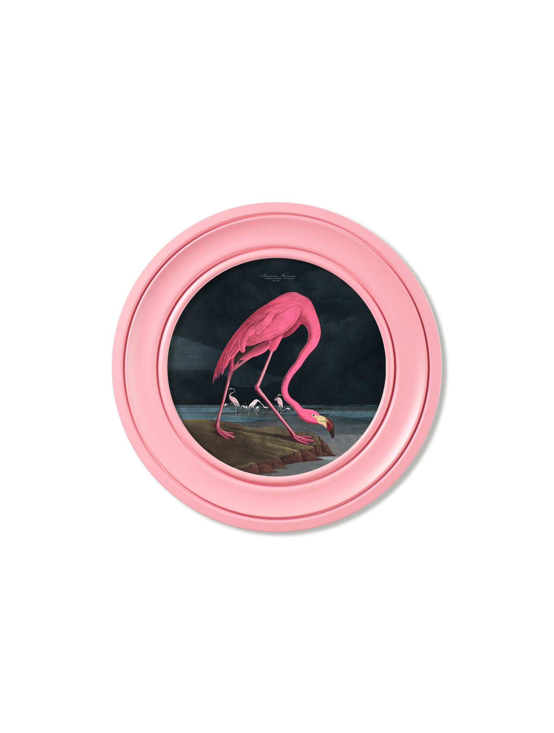 T A Interiors Wall Art & Mirrors – wholesale Art print – c.1838 Audubon's Flamingo - Dark - Round Frame Pink0