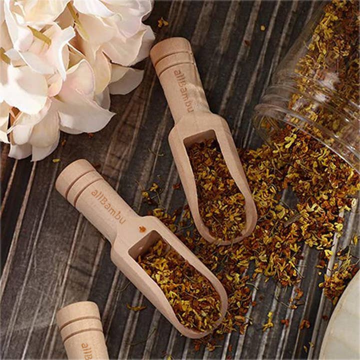 allBambu Inc - Wholesale Kitchen Tool/Gadget - Mini Wooden Scoop