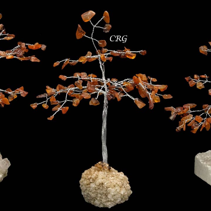 Crystal River Gems LLC - Wholesale Spiritual Stone/Crystal - Carnelian 100 Chip Tree with Cluster Base and Silver Wire (1 Piece) Size 6 Inches Gemstone Tree1