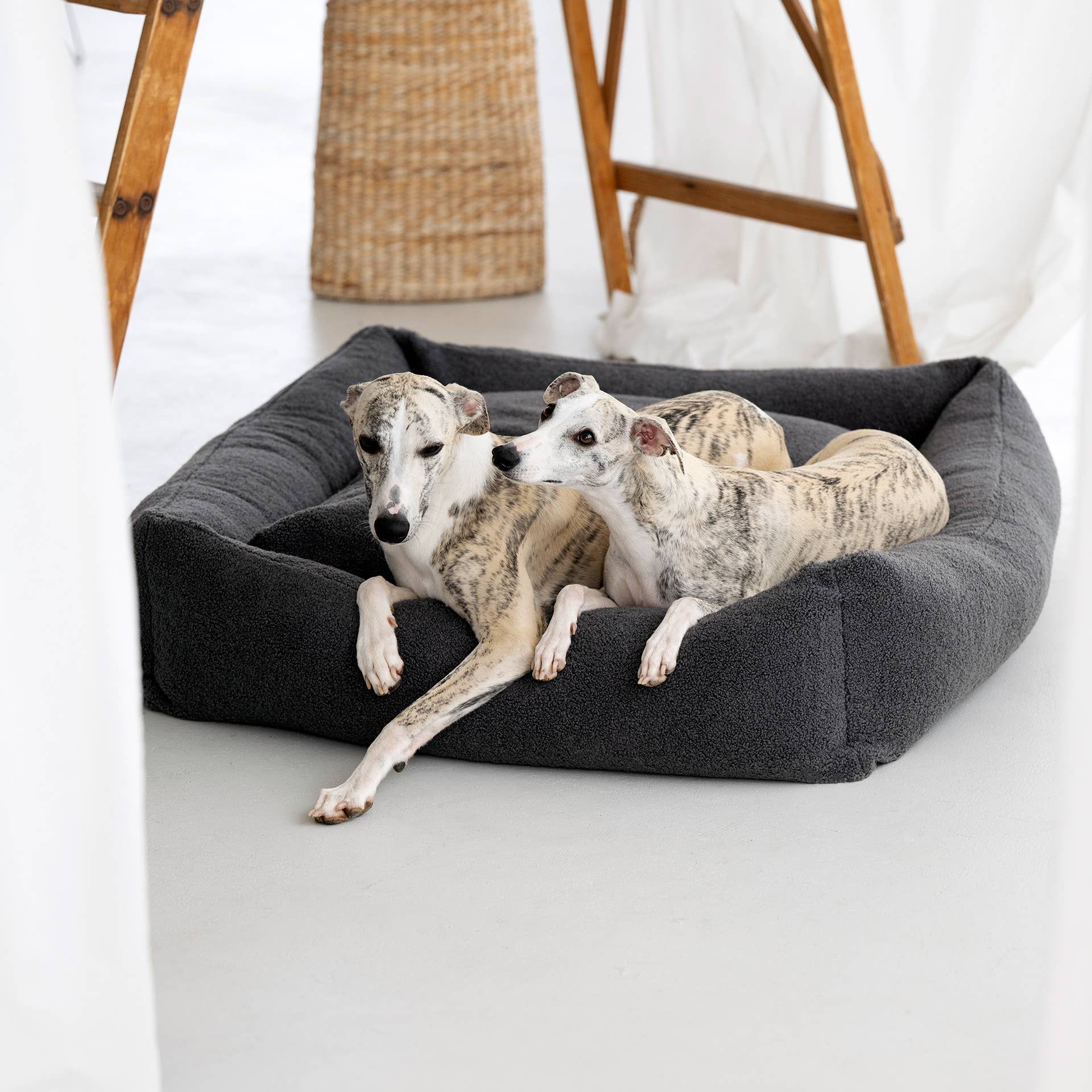 LABONI - Volentis GmbH - Vente Panier – chien - Lit classique pour animaux TEDDY9