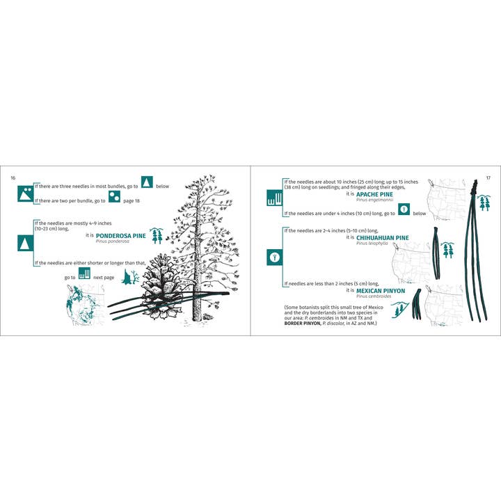 AdventureKEEN - Wholesale Nature & Outdoors - Rocky Mountain Tree Finder 3rd Edition7