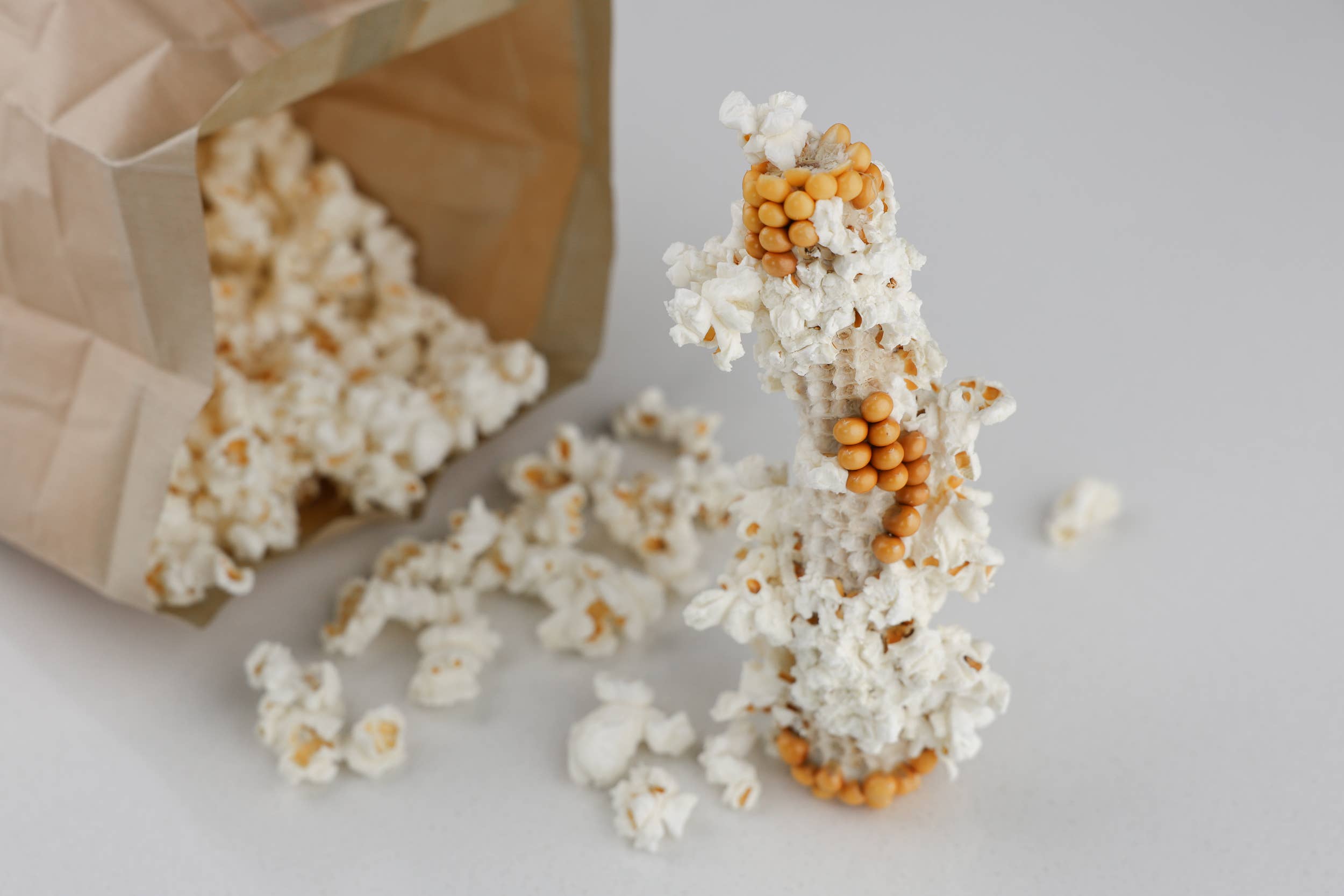 Amish Country Popcorn - Wholesale Popcorn - Twin Microwave Popcorn Cobs5