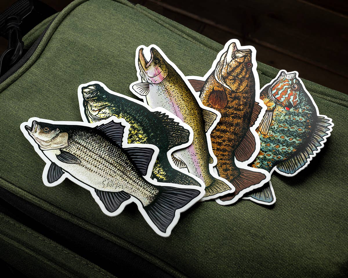 BruleBay - Wholesale Sticker - Crappie Fish Sticker Decal3