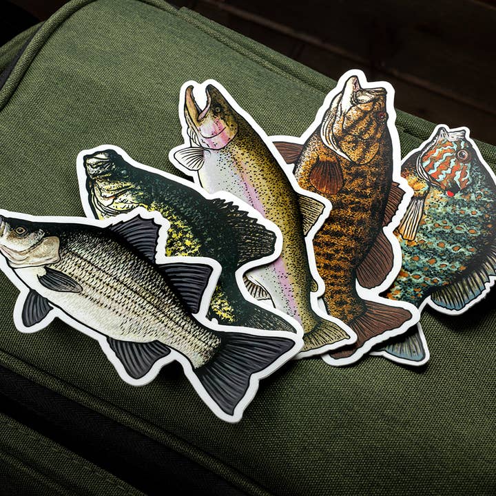 BruleBay - Wholesale Sticker - Crappie Fish Sticker Decal3