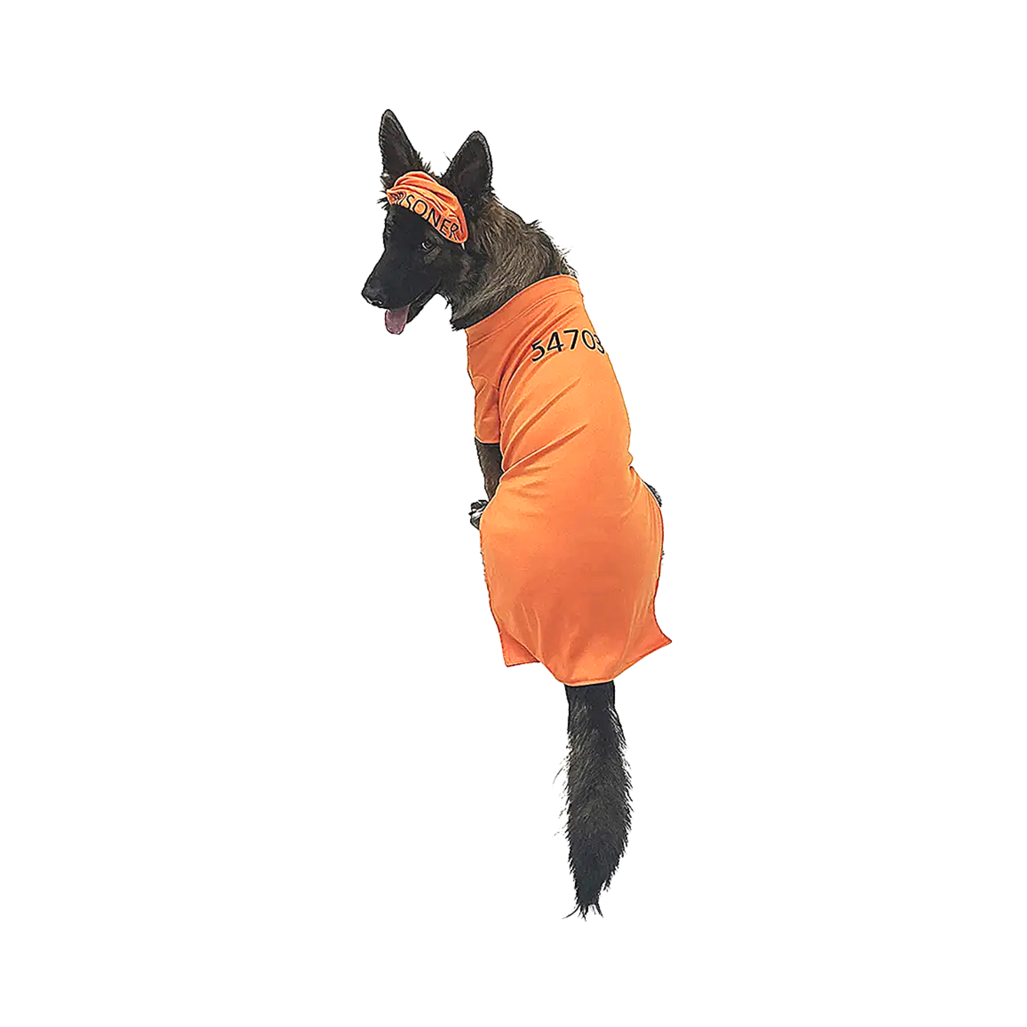 Midlee Designs - Venta al por mayor Disfraz - Perros - Disfraz de prisionero naranja Midlee3