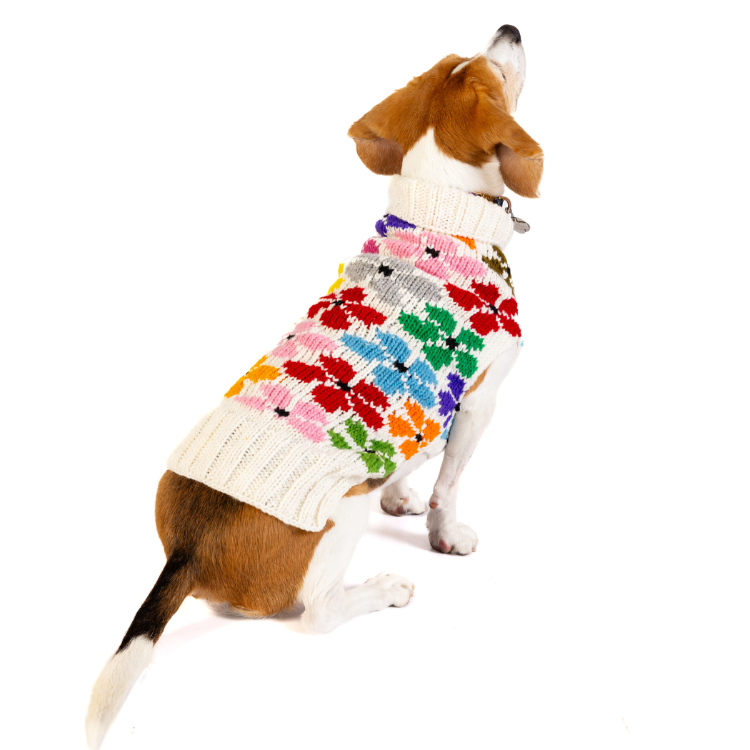 CHILLY DOG LLC - Wholesale Pet Sweater - Dog - Chilly Dog Bloom Dog & Cat Sweater  3