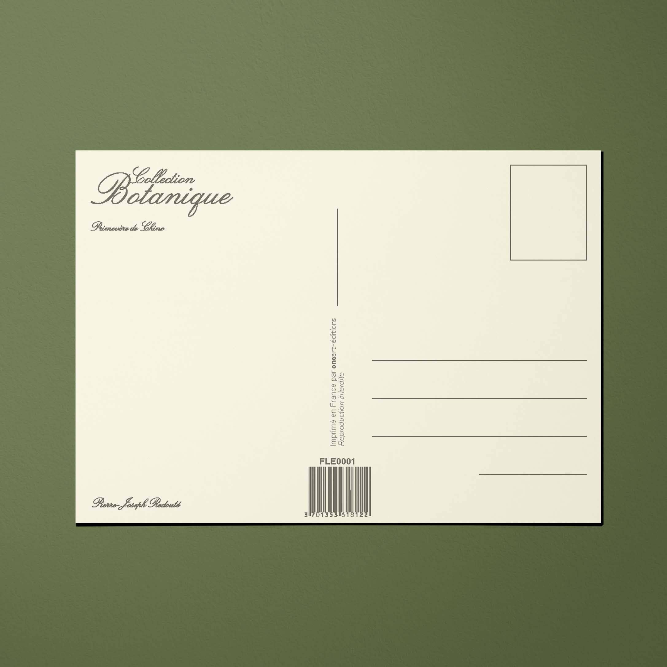 Oneart - Wholesale Postcard - Postcard Chinese Primrose Flowers - FLE00012