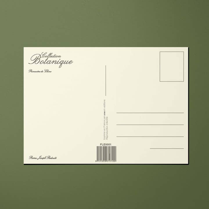 Oneart - Wholesale Postcard - Postcard Chinese Primrose Flowers - FLE00012