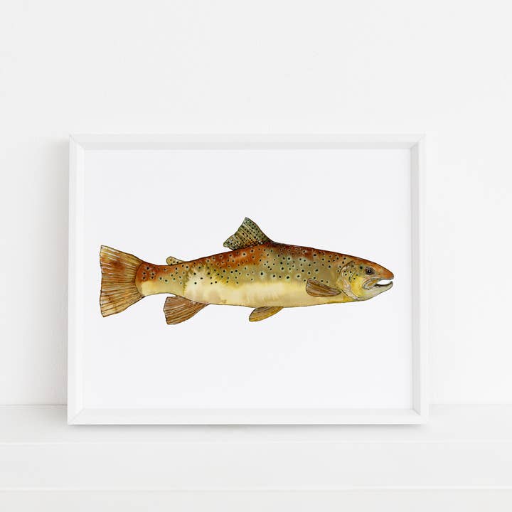 Amber Brown Trout Art Print for wholesale by Jennie Kilcup Watercolors