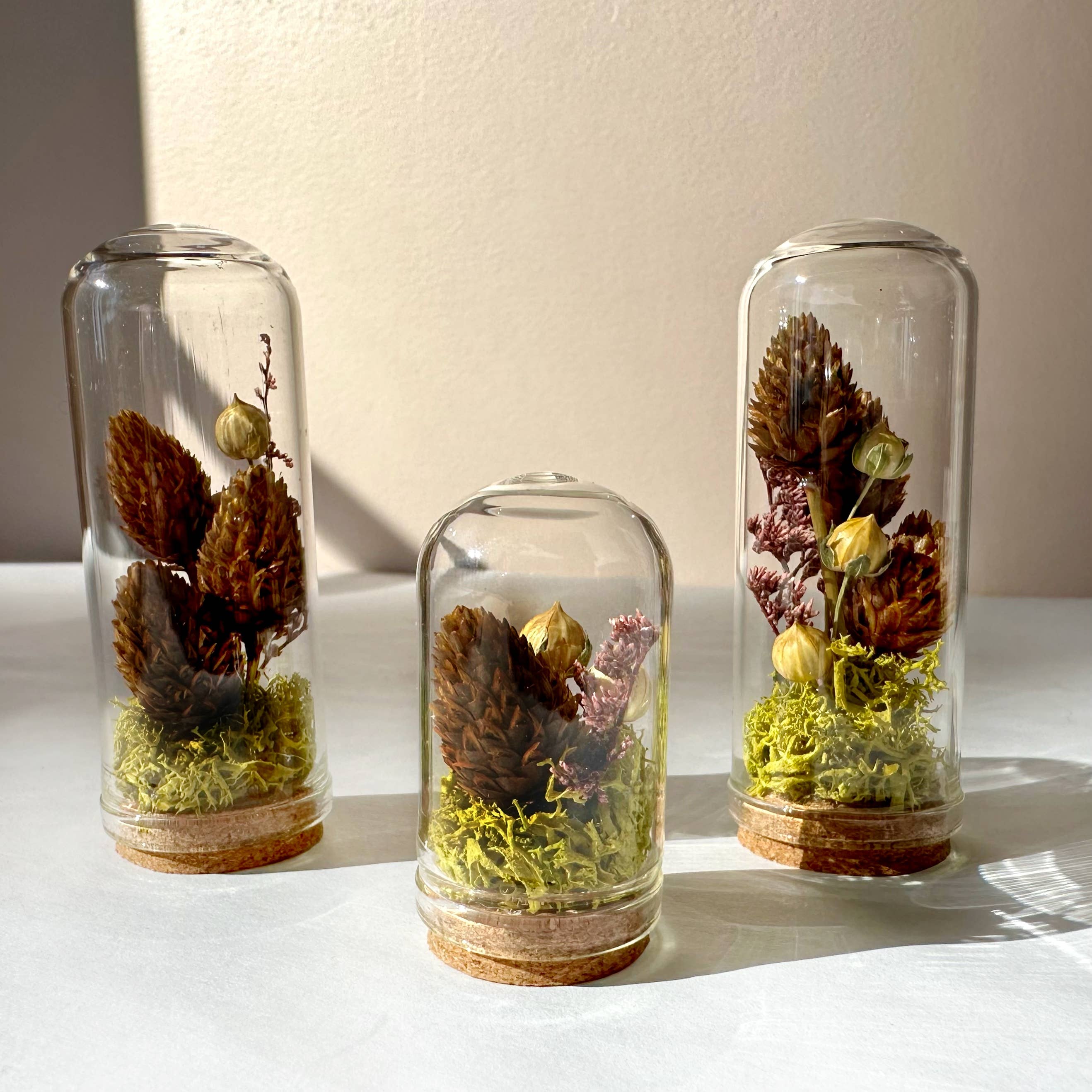 CA Studios - Wholesale Terrarium - Meadow Mix Mini Glass Cloche Terrarium w. Dried Florals7