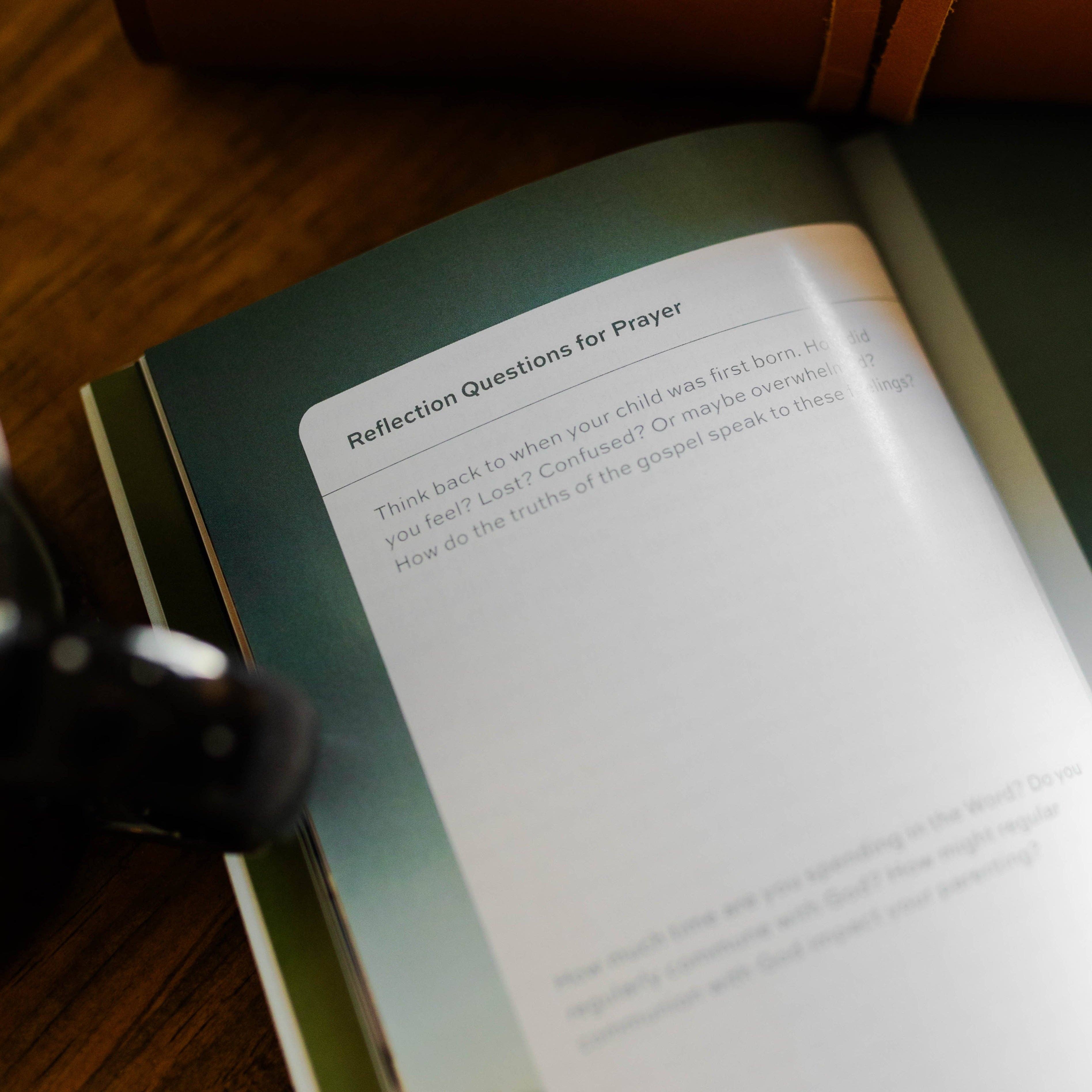 The Daily Grace Co - Wholesale Religion - Gospel-Centered Fatherhood2