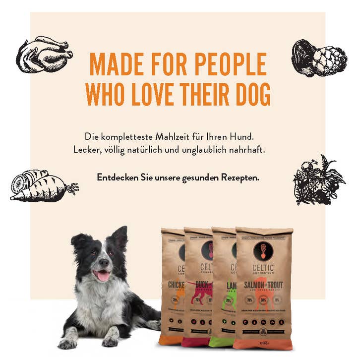 Celtic Connection Holistic Pet Food – Großhandel Tiernahrung – Hund – Hundefutter-Flyer