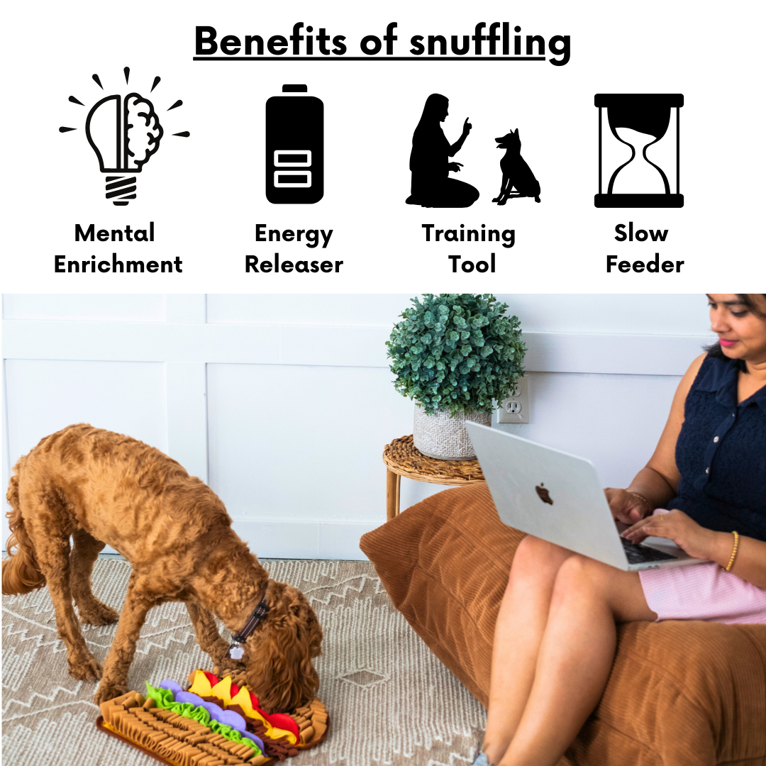 PawzNDogz - Wholesale Pet toy – Cat/dog - Juicy Hamburger by LuvMyFido2