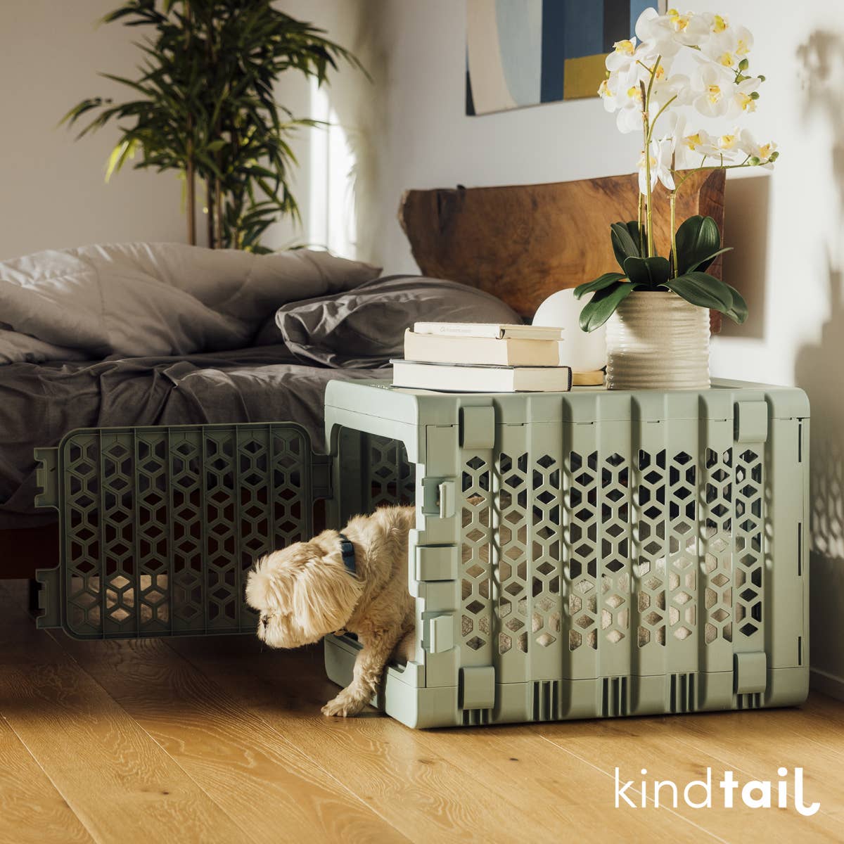 KindTail - Wholesale Pet Carrier - Dog - Medium Pawd® | Modern Collapsible Plastic Dog & Pet Crate15
