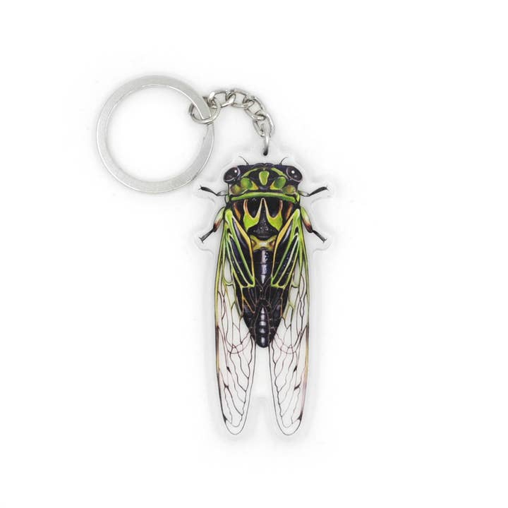 Allison Stoiser Art - Wholesale Keychain - Unisex - Linne's Cicada Double-Sided Acrylic Keychain