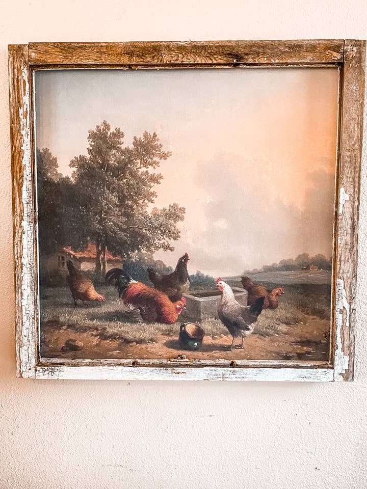 Galinhas na Quinta por atacado de Whitewashed Home