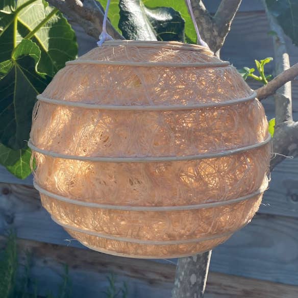 Melocotón Lampion para venta al por mayor de ByBazz